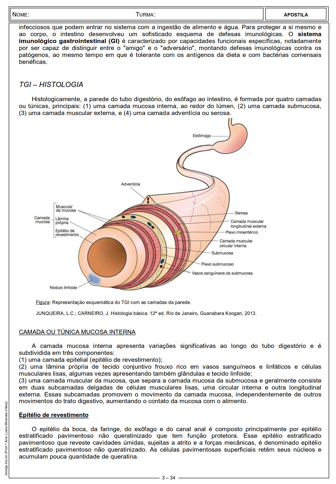 Apostila Fisiologia de órgãos e sistema IV: sistema digestório slide 3