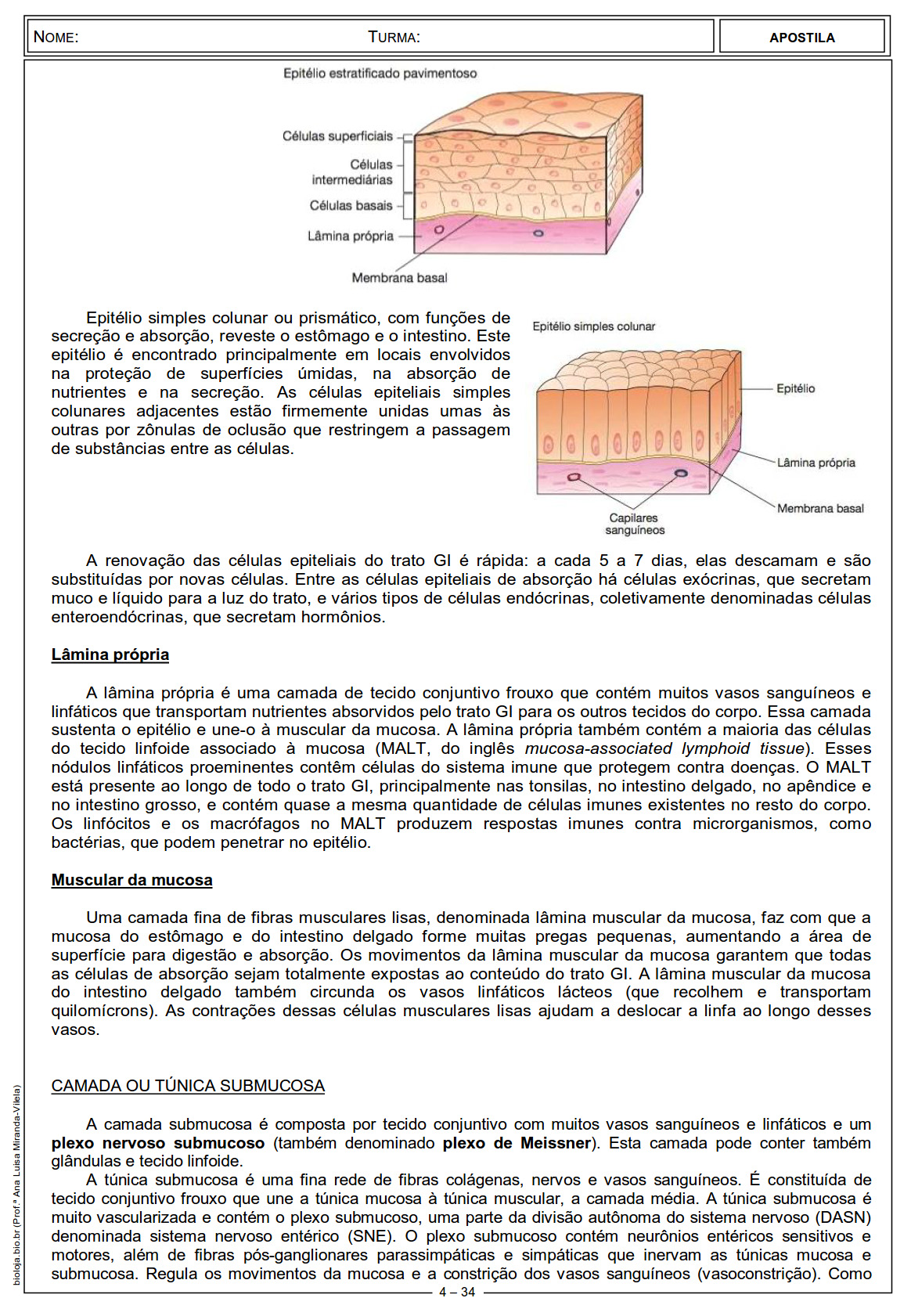 Apostila Fisiologia de órgãos e sistema IV: sistema digestório slide 4