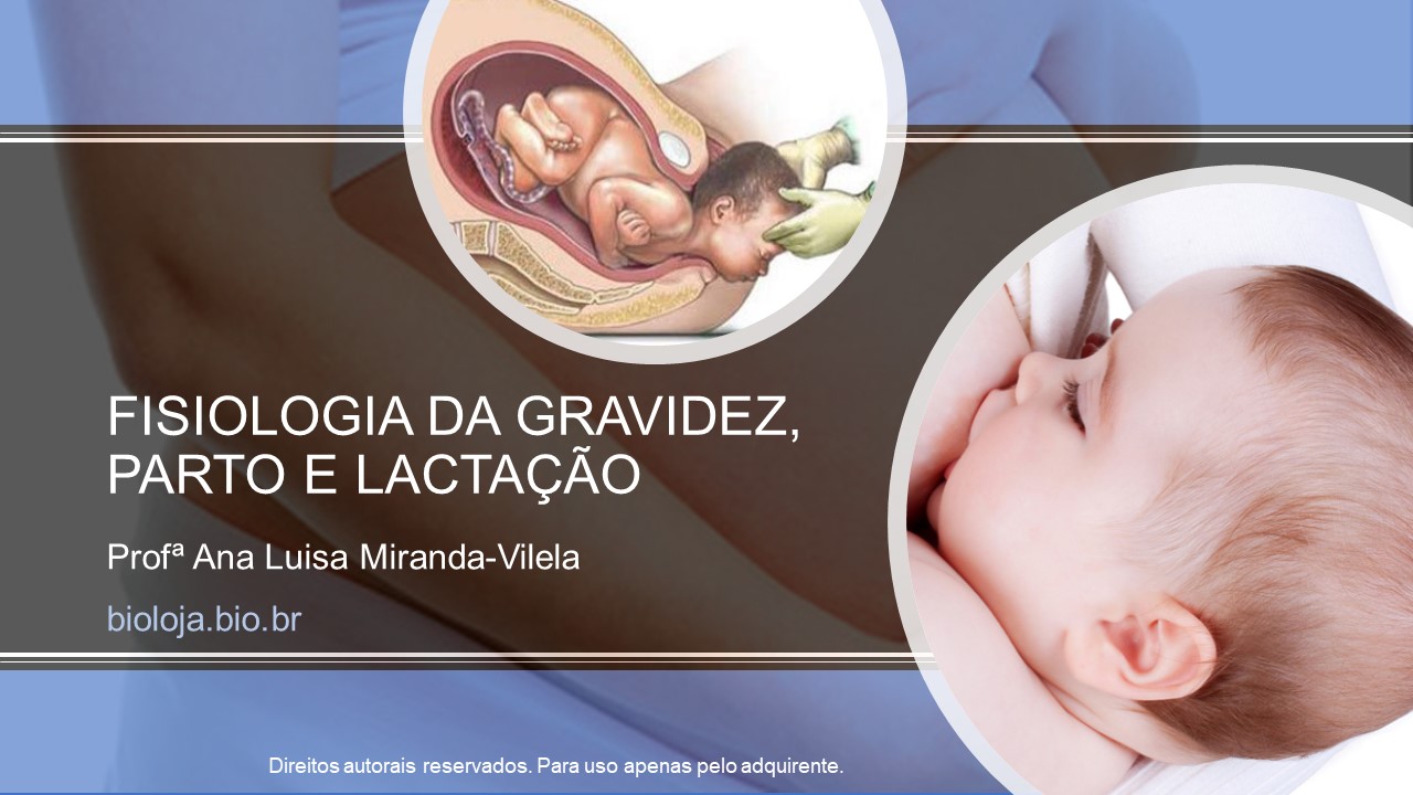 Fisiologia da gravidez, parto e lactação slide 0