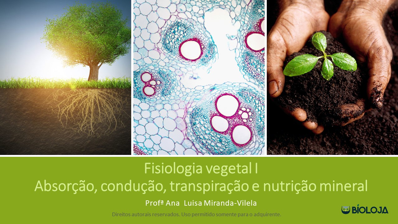 Fisiologia vegetal I: absorção, condução, transpiração e nutrição mineral slide 0