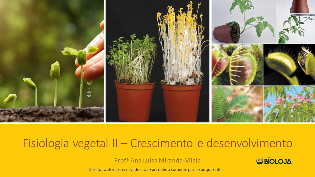 Fisiologia vegetal II (ensino médio) – Crescimento e desenvolvimento slide 0