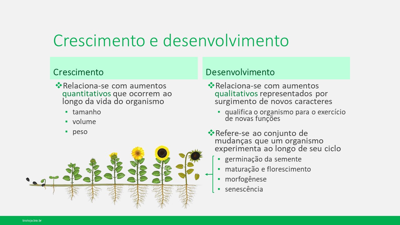 Fisiologia vegetal II – Crescimento e desenvolvimento parte I: ritmos circadianos, efeitos da luz, vernalização slide 1