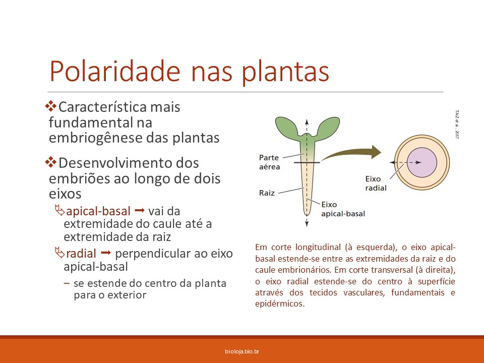Fisiologia vegetal II – Crescimento e desenvolvimento parte II: Fitormônios slide 1