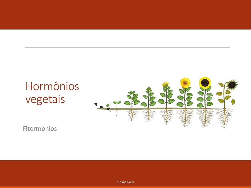 Fisiologia vegetal II – Crescimento e desenvolvimento parte II: Fitormônios slide 2