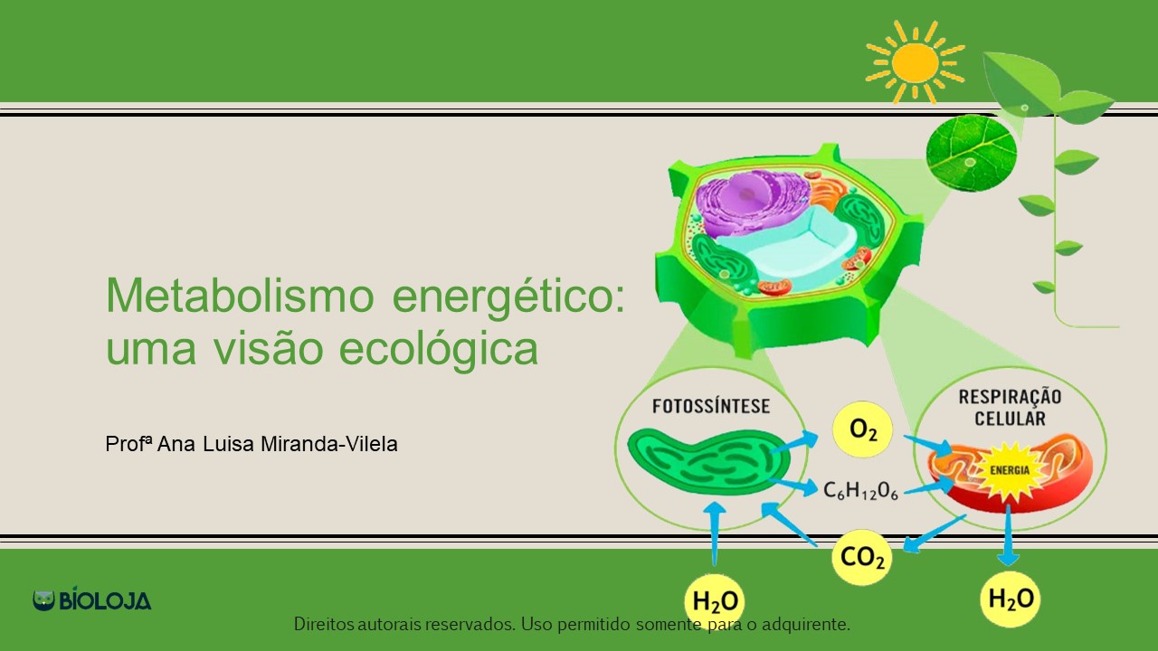 Metabolismo energético: uma visão ecológica slide 0