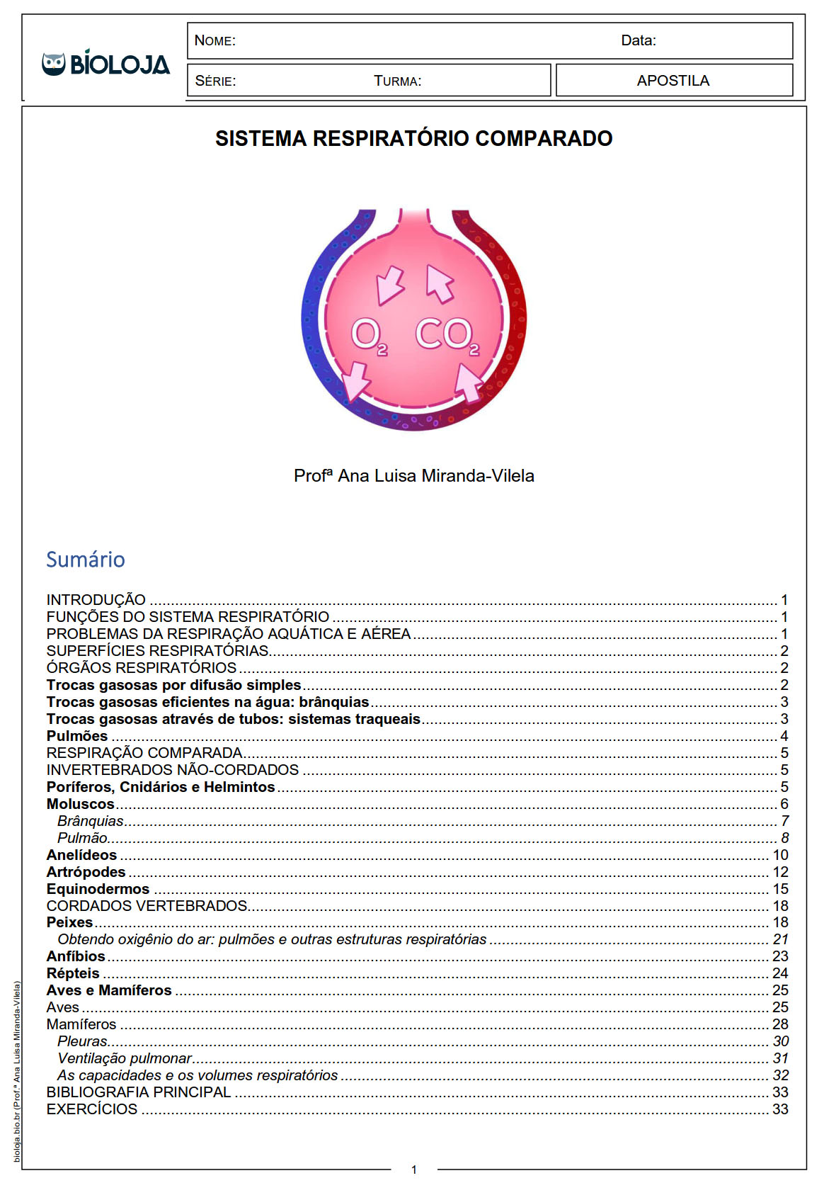 Apostila Sistema respiratório comparado slide 0