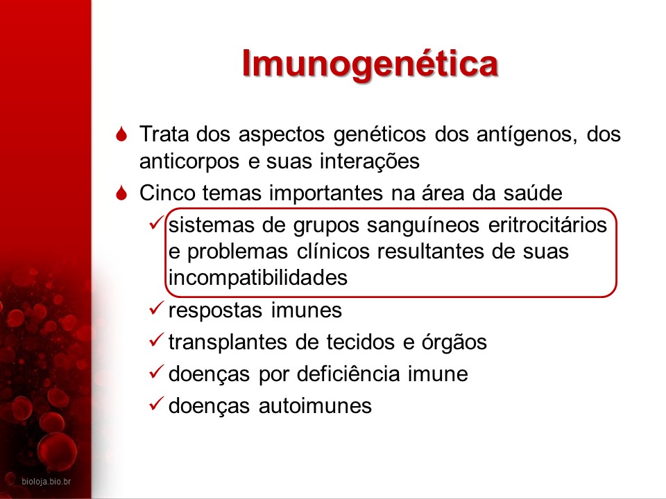 Imunogenética 1: Sistemas sanguíneos eritrocitários slide 2