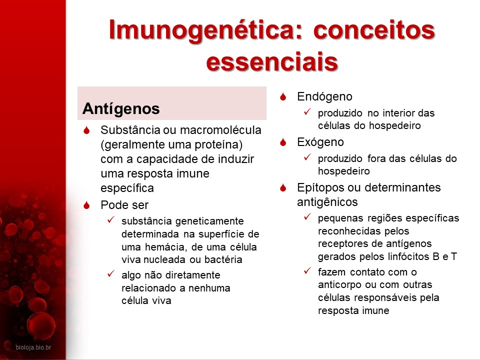 Imunogenética 1: Sistemas sanguíneos eritrocitários slide 3