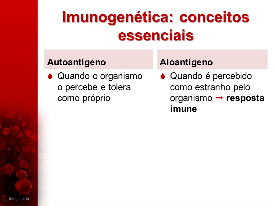 Imunogenética 1: Sistemas sanguíneos eritrocitários slide 4