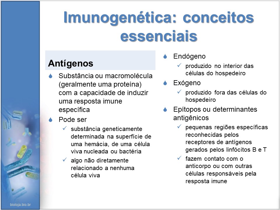 Imunogenética 2: As respostas imunes slide 3