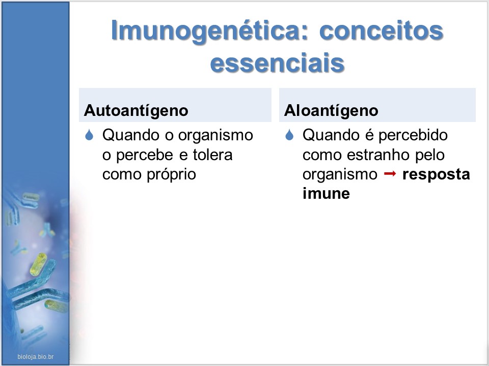 Imunogenética 2: As respostas imunes slide 4