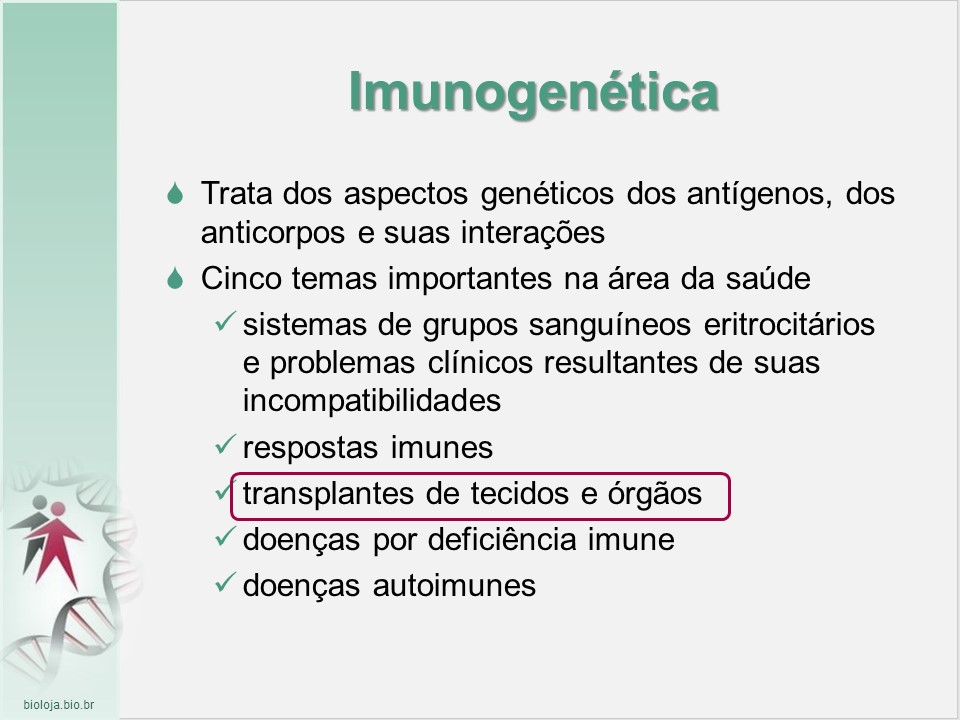 Imunogenética 3: Transplantes slide 2